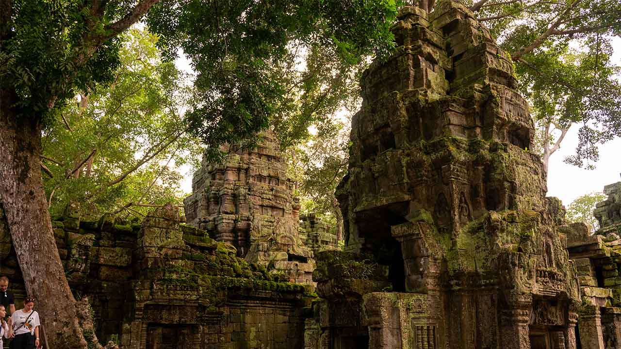 Ta Prohm Temple Siem Reap Cambodia